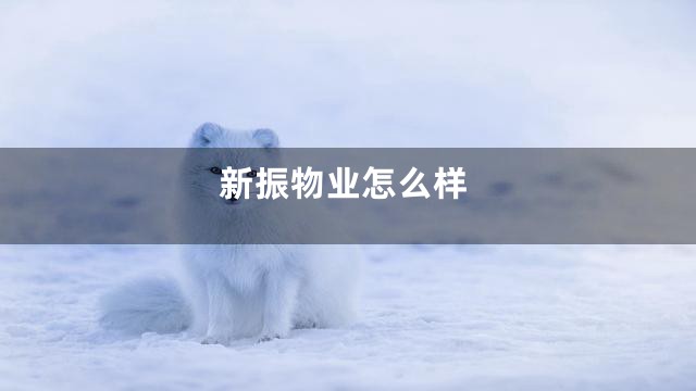新振物业怎么样