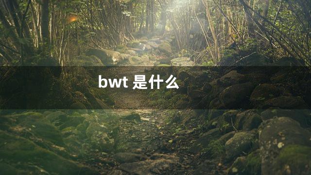 bwt 是什么