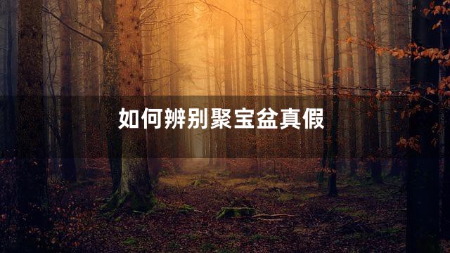如何辨别聚宝盆真假