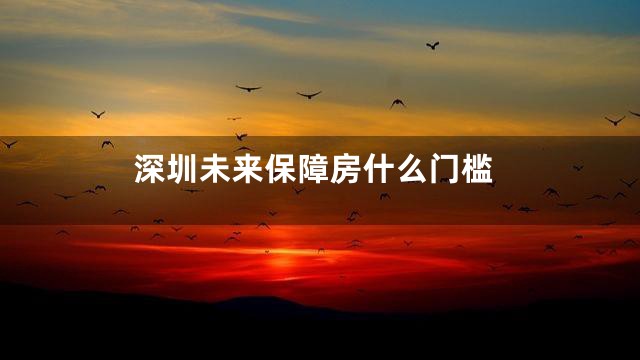 深圳未来保障房什么门槛
