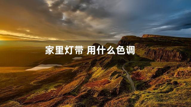 家里灯带 用什么色调