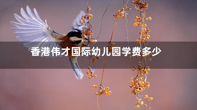 香港伟才国际幼儿园学费多少