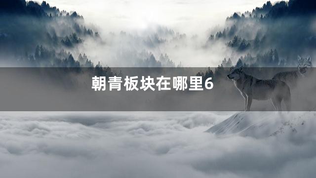 朝青板块在哪里6