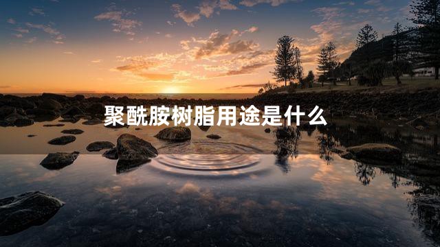 聚酰胺树脂用途是什么