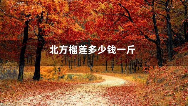 北方榴莲多少钱一斤