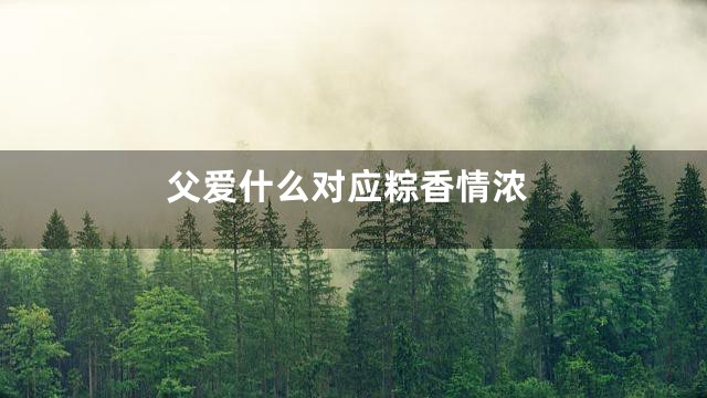 父爱什么对应粽香情浓