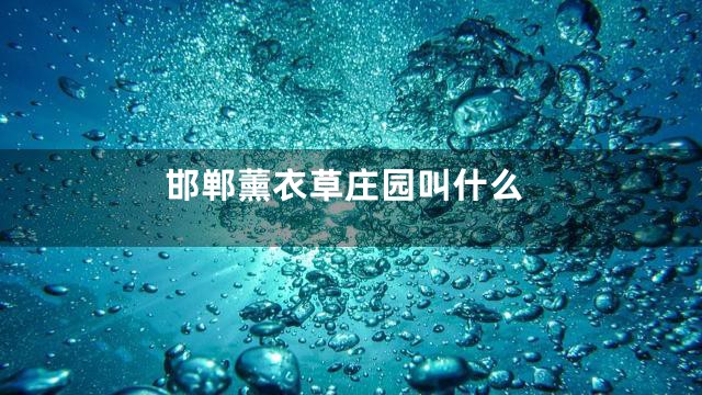 邯郸薰衣草庄园叫什么