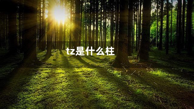 tz是什么柱