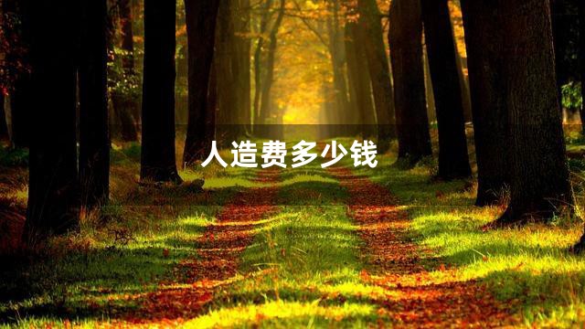 人造费多少钱