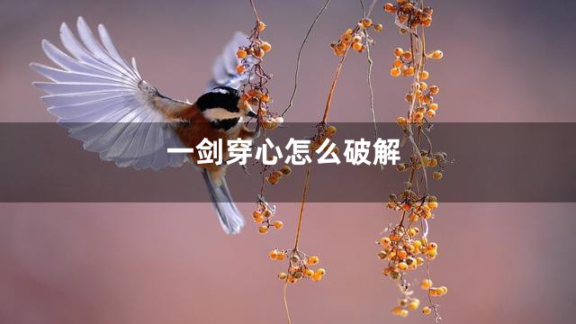 一剑穿心怎么破解