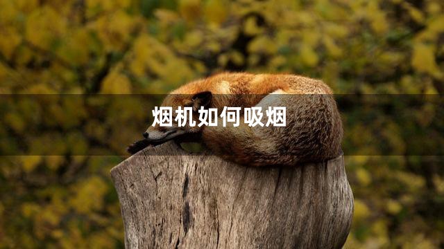 烟机如何吸烟