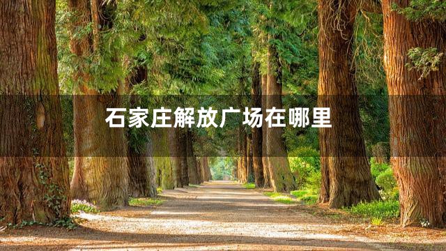 石家庄解放广场在哪里