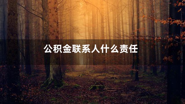 公积金联系人什么责任