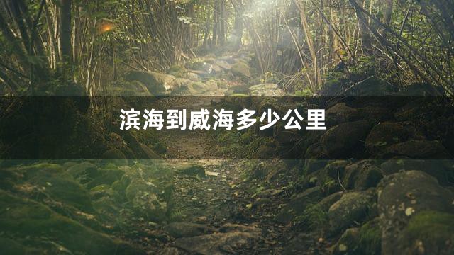 滨海到威海多少公里