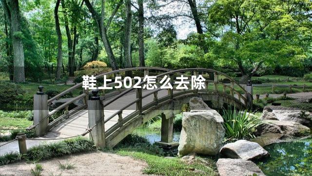 鞋上502怎么去除