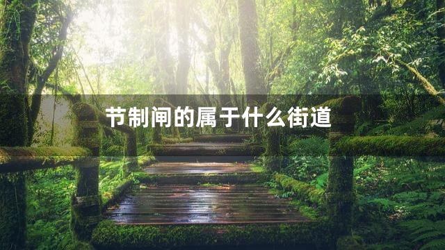 节制闸的属于什么街道