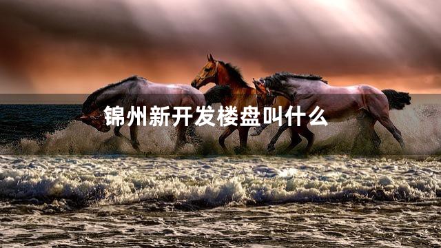 锦州新开发楼盘叫什么