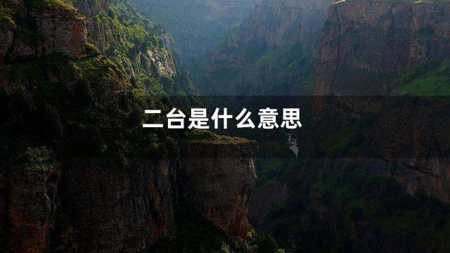 二台是什么意思