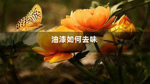 油漆如何去味