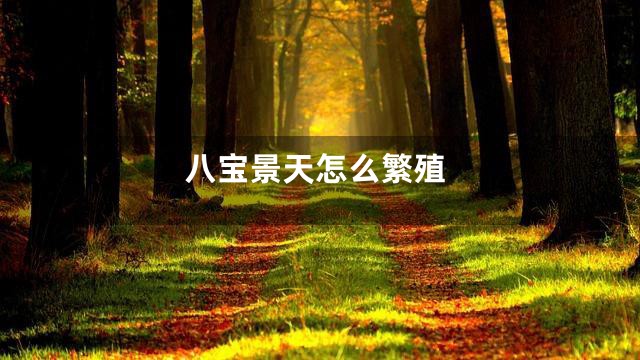 八宝景天怎么繁殖