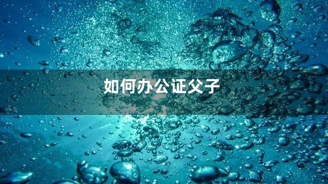 如何办公证父子