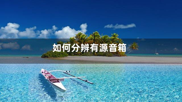 如何分辨有源音箱